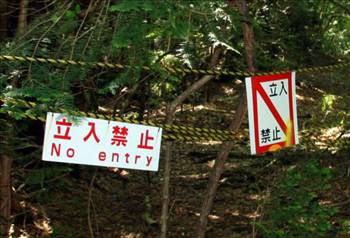 İntihar Ormanı: Aokigahara 7