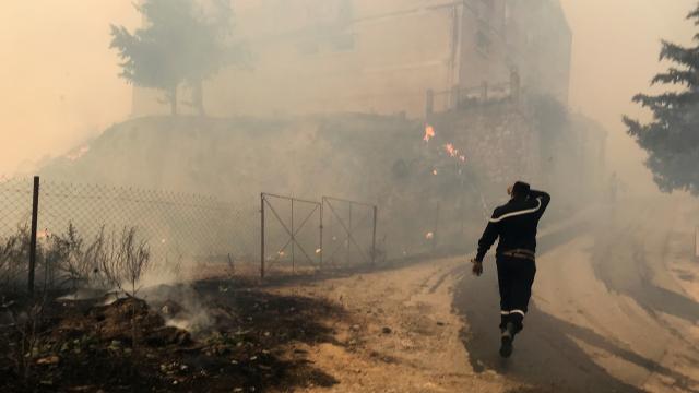 Cezayir'deki orman yangınlarında bilanço ağırlaşıyor