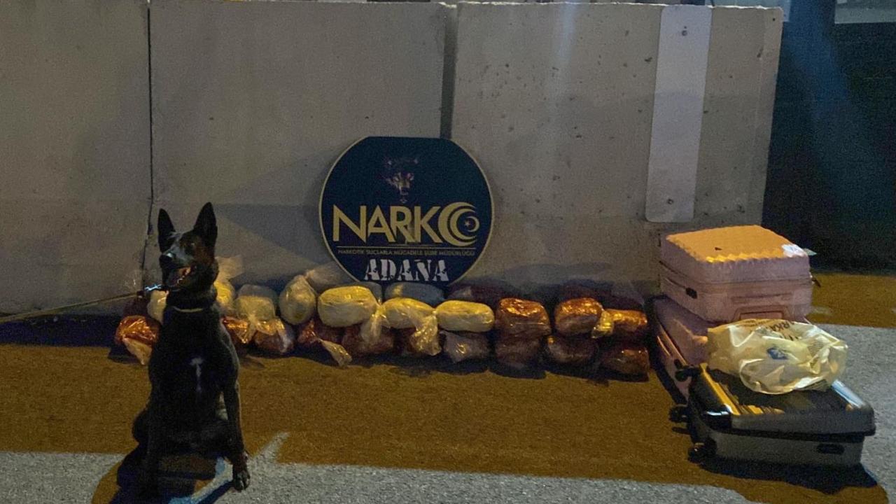 Narkotik köpeği 'Barbara' salça ve yağla kaplı paketlerde uyuşturucu buldu