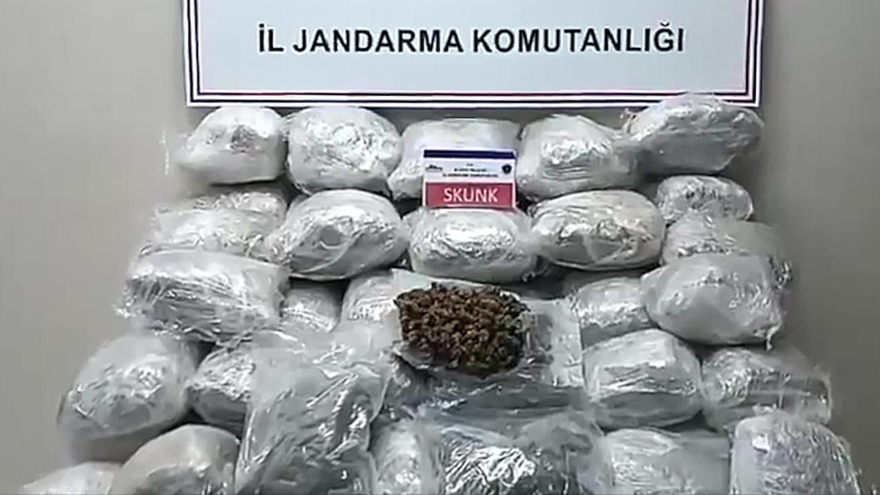 Elazığ'da tırın dorsesine gizlenmiş 138 kilogram skunk bulundu