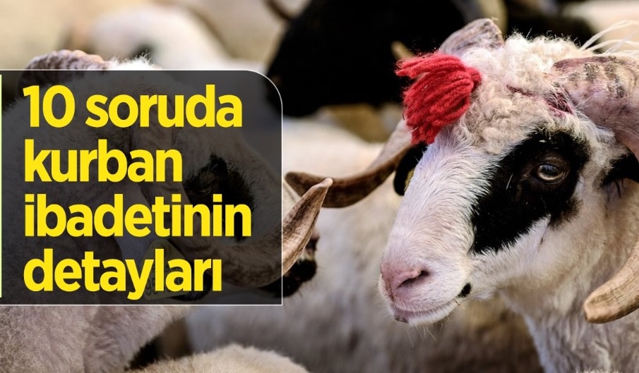 '10 SORUDA VEKALETLE KURBAN KESİMİ'