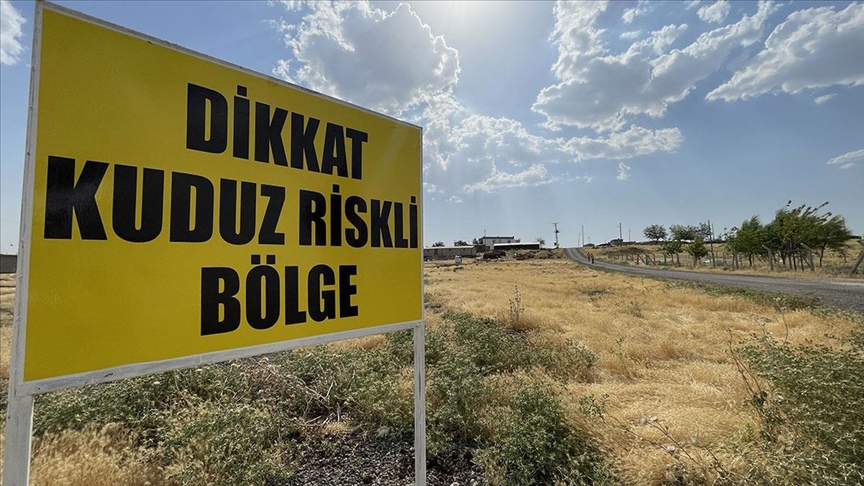 Şanlıurfa'da 1 mahalle kuduz nedeniyle karantinaya alındı