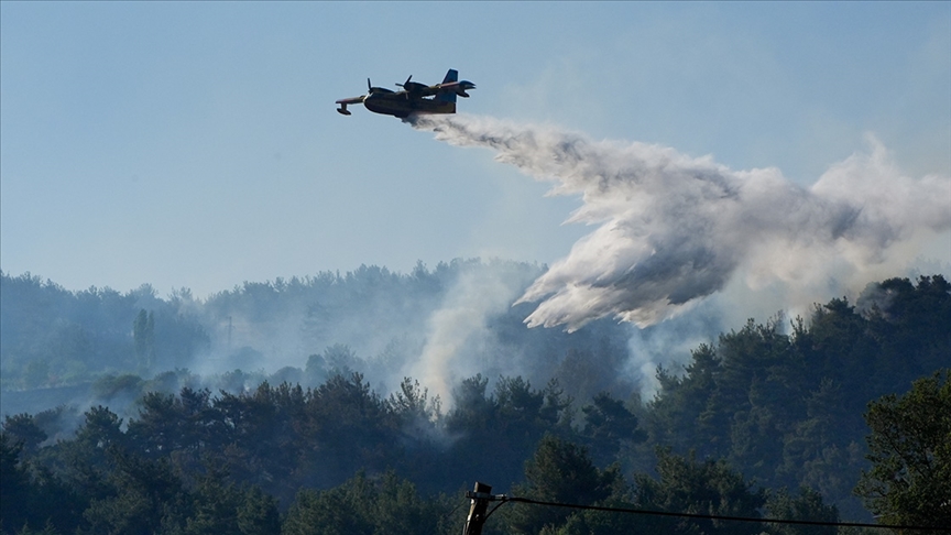 İzmir'in Bornova ilçesinde çıkan orman yangını kontrol altına alındı