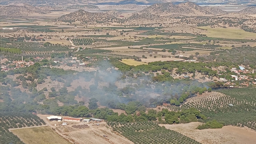 İzmir'de tarım arazisinde çıkan yangın ormana sıçradı