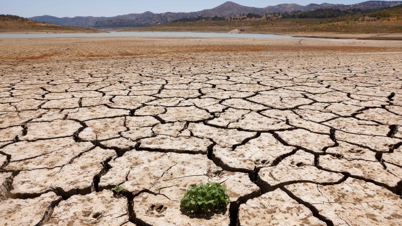 Dünya Meteoroloji Örgütü: İklim değişikliğinin etkileri 2024'te dünyayı etkisi altına aldı