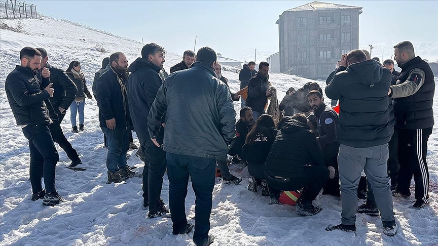 Yerlikaya'dan sahipsiz köpeklerin saldırısında ölen Eslem Teker'e ilişkin açıklama