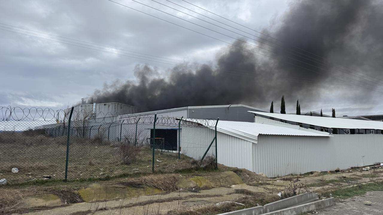 Edirne'de fabrikada çıkan yangın söndürüldü