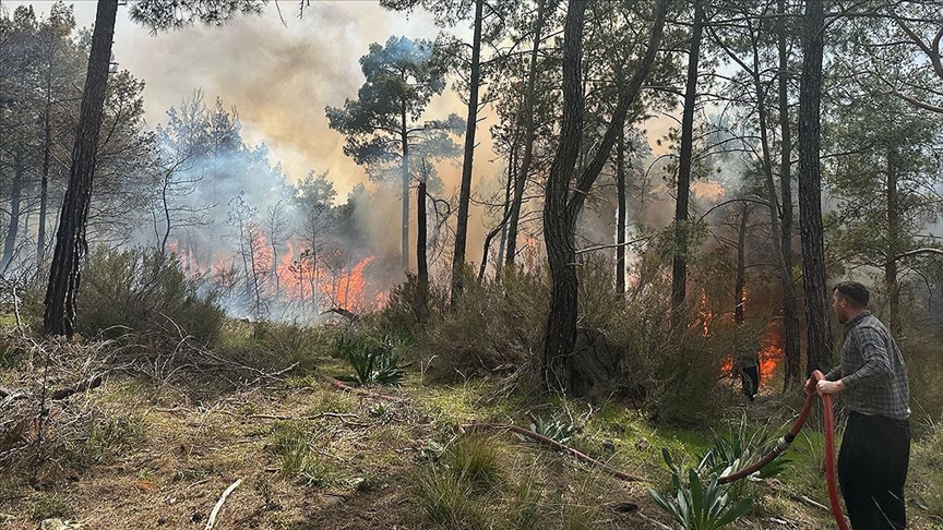 Antalya'da ormanlık alanda çıkan yangına müdahale ediliyor