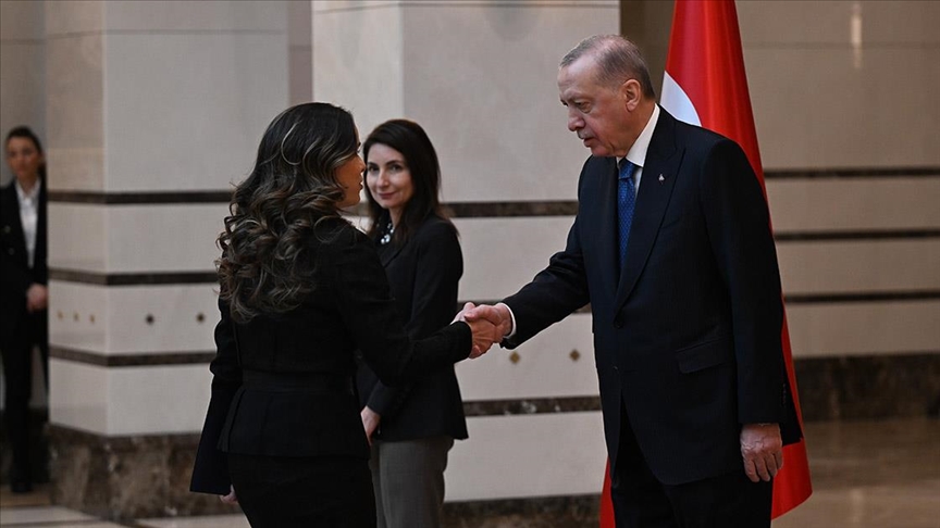 Büyükelçiler Cumhurbaşkanı Erdoğan'a güven mektubu sundu