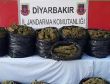 Diyarbakırda 134 kilo esrar ele geçirildi