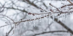 Meteoroloji 4 il için buzlanma ve çığ uyarısı yaptı