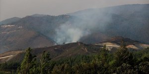 Suriye'nin Hatay sınırındaki orman yangını sürüyor