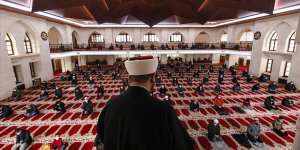 'Her hayvan Allah’ın eseridir ve insanoğluna emanettir'