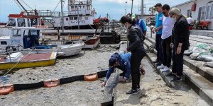 İstanbul Üniversitesi, müsilajı temizlemek için deniz bakterilerini kullanacak