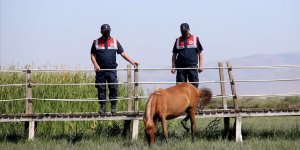 Jandarmanın özel timi çevre ve hayvanlar için mesaide