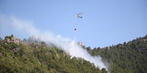 Antalya'da çıkan orman yangınına hava ve karadan müdahale ediliyor