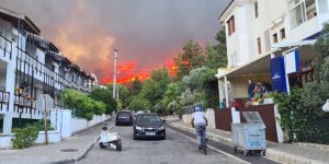 Marmaris ve Milas'ta ormanlık alanda yangın çıktı!