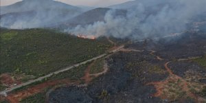 Bodrum'daki orman yangınını söndürme çalışmaları aralıksız sürüyor