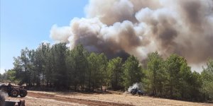 Seydikemer'deki yangına havadan ve karadan müdahale devam ediyor