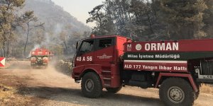 Milas, Bodrum ve Kavaklıdere'deki orman yangınlarına havadan ve karadan müdahale sürüyor