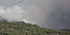 Türkiye'deki orman yangınlarına 6 ülkeden hava desteği geldi