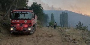 Aydın'ın Karacasu ilçesindeki orman yangınına müdahale sürüyor