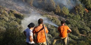 Bodrum Kaymakamı Bekir Yılmaz: Yangını kısmen de olsa durdurup, önünü kestik