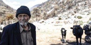 Hayvanlarının yanarak telef olmasının acısını yaşayan çoban, hasar gören evini terk etmiyor