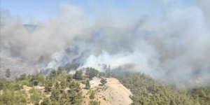 Bodrum'da çıkan orman yangınına müdahale ediliyor