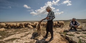 Doğu Anadolu'da sıcaklıklar mevsim normallerinde seyredecek