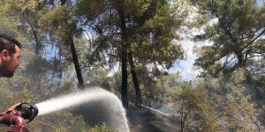 Antalya'da çıkan orman yangınları büyümeden söndürüldü