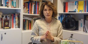 Prof. Dr. Nilüfer Narlı'yı dolandırdığı öne sürülen zanlı tutuklandı