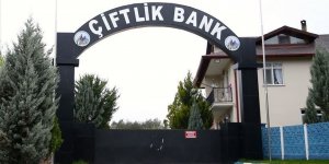 'Çiftlik Bank' Davası sanıklarının yargılanmasına devam edildi