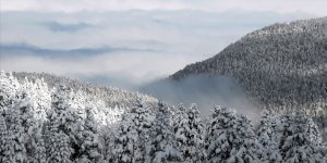 Uludağ kanunla özel koruma altına alınıyor!