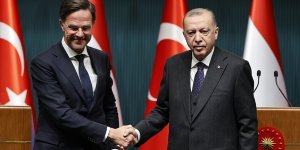 Cumhurbaşkanı Erdoğan, Hollanda Başbakanı Mark Rutte ile telefonda görüştü