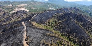 Marmaris'te yanan orman alanı havadan görüntülendi