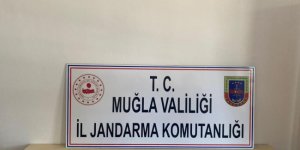 Muğla'da uyuşturucu partisi yapılan villaya baskın: 6 gözaltı