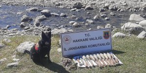 Hakkari'de terör operasyonunda mühimmat ele geçirildi