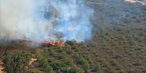 İzmir Foça'da makilikte çıkan yangın söndürüldü