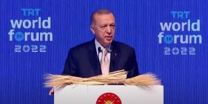 Cumhurbaşkanı Erdoğan: Tahıl krizini çözmek amacıyla Putin ve Zelenskiy ile görüşmem olacak