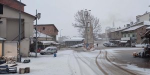 Adıyaman'da kar yağışı trafiği olumsuz etkiliyor