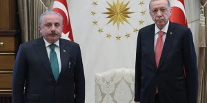 Cumhurbaşkanı Erdoğan, TBMM Başkanı Şentop'u kabul etti