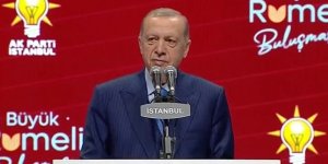 Erdoğan: Türkevi'nin camlarını kıran teröristi bulmanız, gereğini de yapmanız lazım