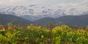 Bayburt'ta yüksek kesimler beyaza büründü