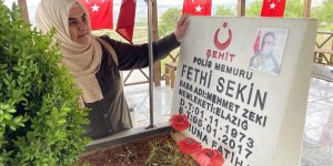 Fethi Sekin'in kız kardeşi: Şehit ağabeyimin kanının yerde kalmaması adına çok sevindik