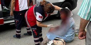 Ataşehir'de kadına saldıran köpeğin sahibi adliyeye gönderildi