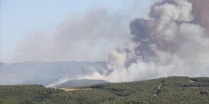 Tekirdağ'ın Malkara ilçesinde orman yangını