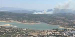 Muğla'nın Milas ilçesinde çıkan orman yangını kontrol altına alındı