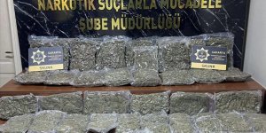 Sakarya'da 24,5 kilogram skunk ele geçirildi