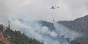 Hatay'da çıkan orman yangını kontrol altına alındı